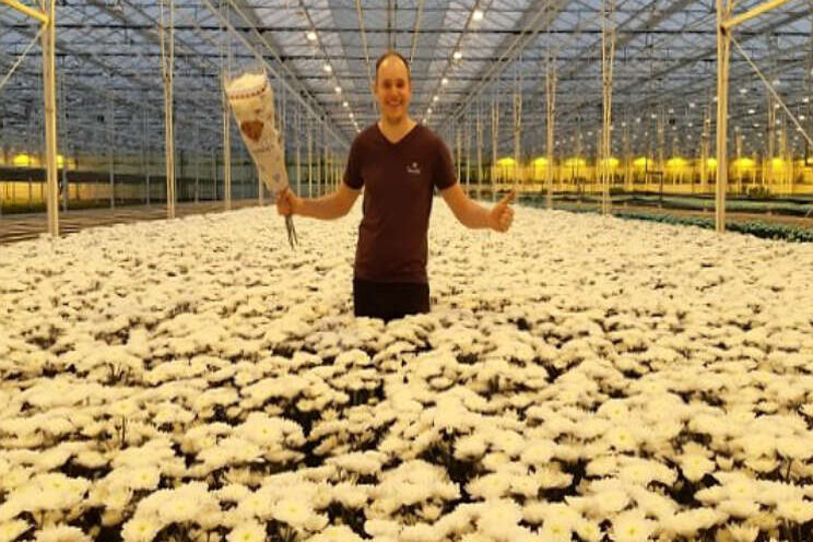 Altaj: nieuwe witte deco met een unieke bloemvorm Altaj: nieuwe witte deco met een unieke bloemvorm
