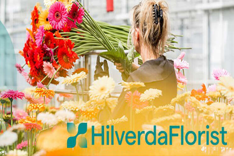 Nieuwe huisstijl HilverdaFlorist Nieuwe huisstijl HilverdaFlorist