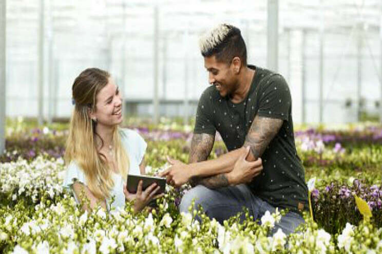 Meld je aan voor nieuwe kopersessies FloraHolland Meld je aan voor nieuwe kopersessies FloraHolland