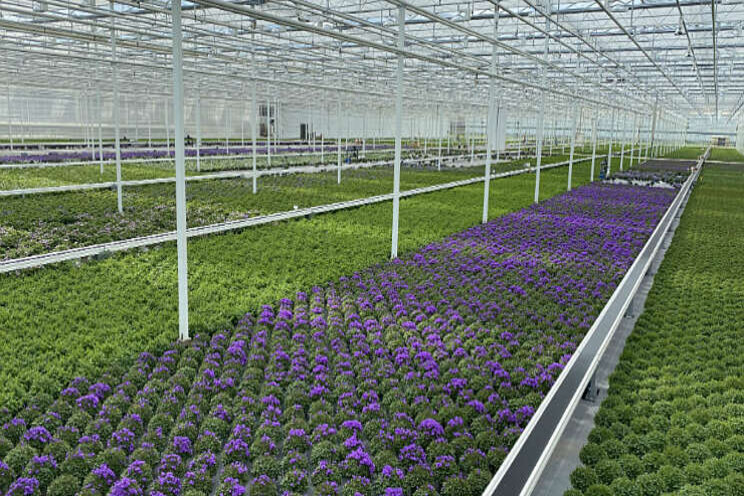 Montis Zuidplas van start op nieuwe productielocatie Montis Zuidplas van start op nieuwe productielocatie