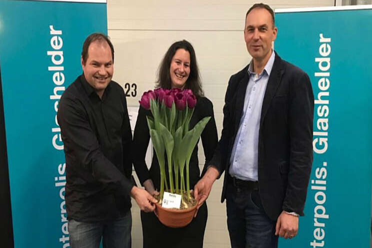 Prijs voor tulp Roeska Prijs voor tulp Roeska