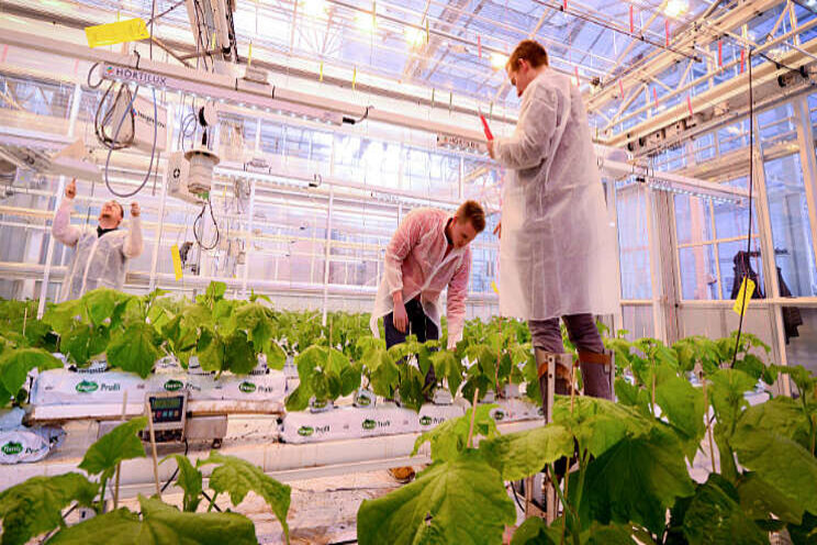 Studenten delen hun ervaringen met de All Climate Greenhouse Studenten delen hun ervaringen met de All Climate Greenhouse