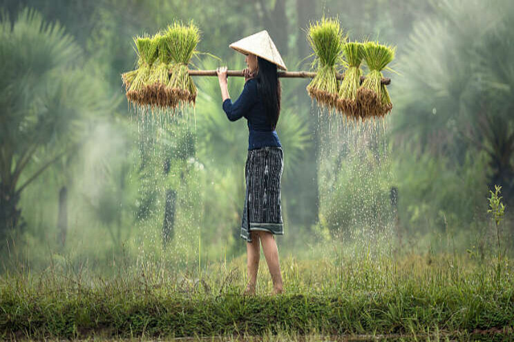 Akkoord Vietnam belangrijk tegen protectionisme Akkoord Vietnam belangrijk tegen protectionisme
