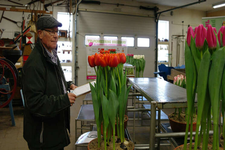 Tulpennamen schrijven is een kunst... zo blijkt Tulpennamen schrijven is een kunst... zo blijkt