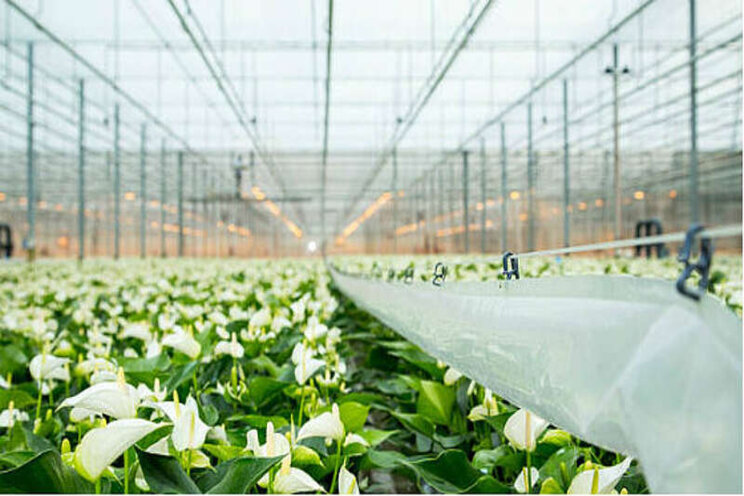 Verrekening CO2-sectorsysteem Verrekening CO2-sectorsysteem