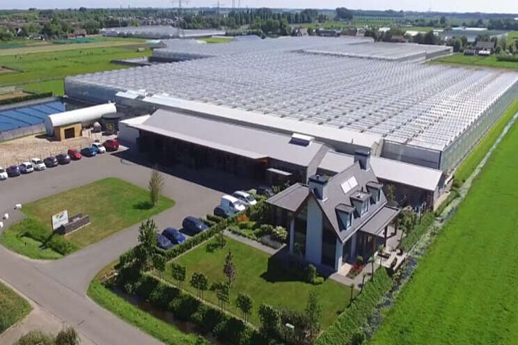Vitroflora neemt kwekerij Gebr. Alkemade over Vitroflora neemt kwekerij Gebr. Alkemade over