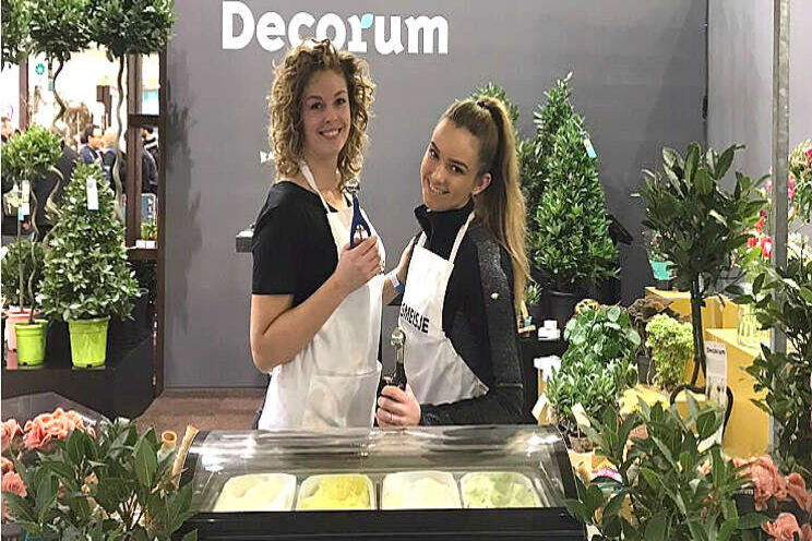 Decorum deel plantenijs uit Decorum deel plantenijs uit