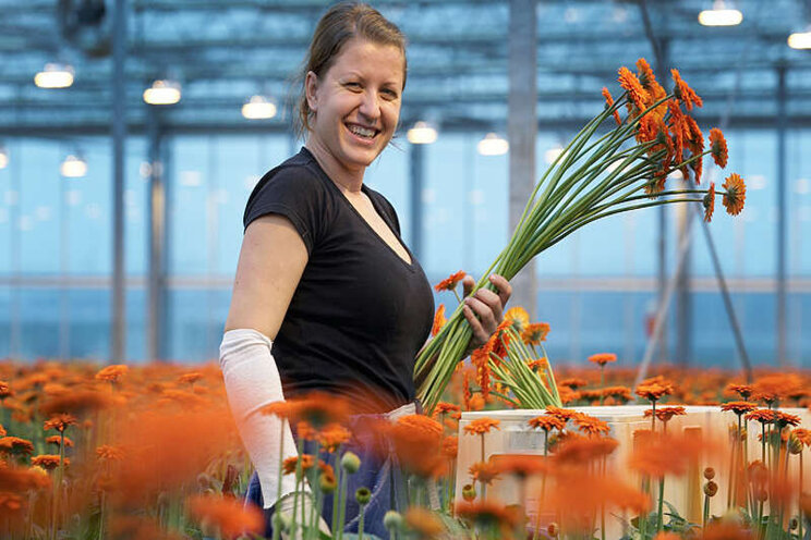 Etiketuitbreiding voor Botanigard en Fungaflash Etiketuitbreiding voor Botanigard en Fungaflash