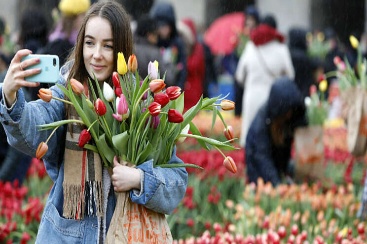 Kleurrijke start nieuwe tulpenseizoen Kleurrijke start nieuwe tulpenseizoen