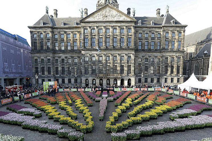 Morgen weer gratis tulpen plukken Morgen weer gratis tulpen plukken