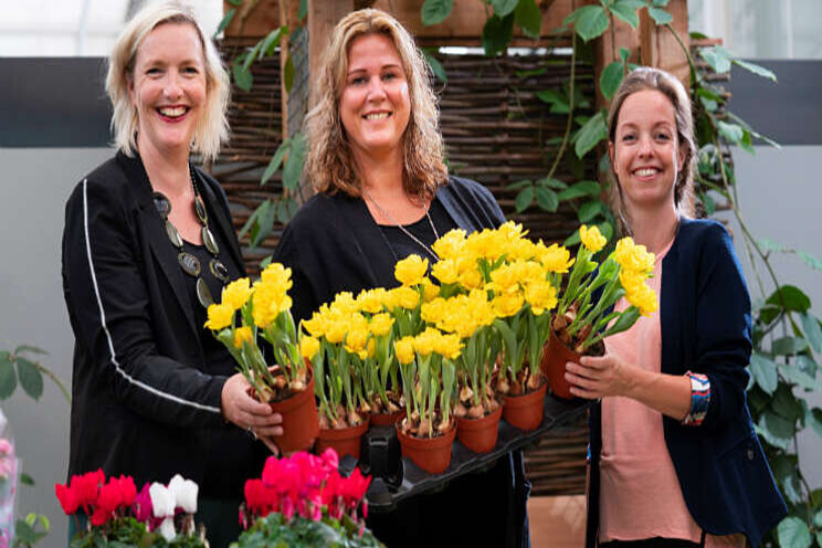 Royal Lemkes en Van Dijk Flora slaan handen ineen Royal Lemkes en Van Dijk Flora slaan handen ineen