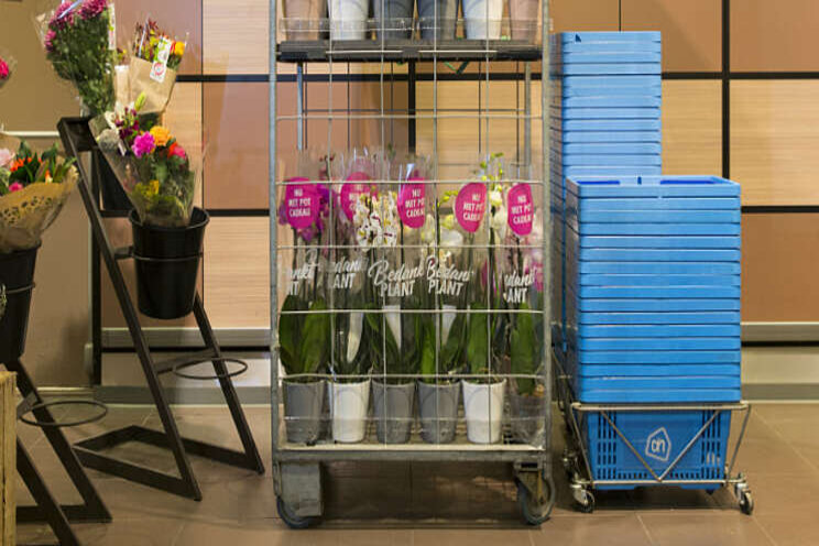 Wat leverden de acties van BBH in 2019 op? Wat leverden de acties van BBH in 2019 op?