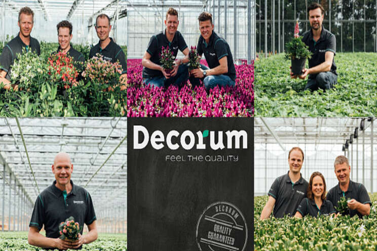 Veel nominaties Decorum voor Glazen Tulp Award Veel nominaties Decorum voor Glazen Tulp Award