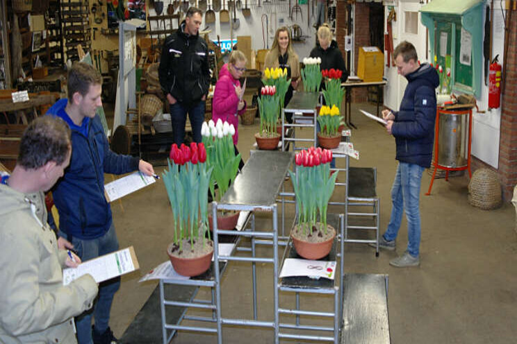 Tulpenkeurders komen direct in de juiste flow Tulpenkeurders komen direct in de juiste flow