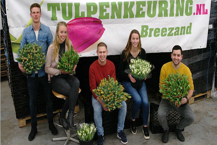 Wie wordt in 2020 tulpenkeurkampioen?